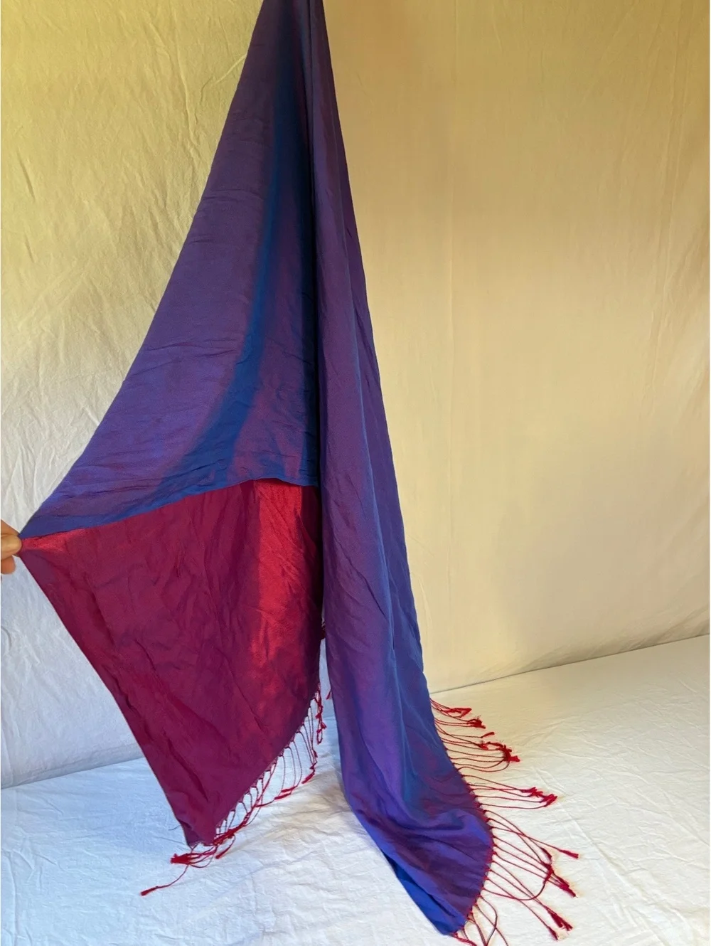 Two-Tone Blue and Burgundy Shawl with Fringe Detailing